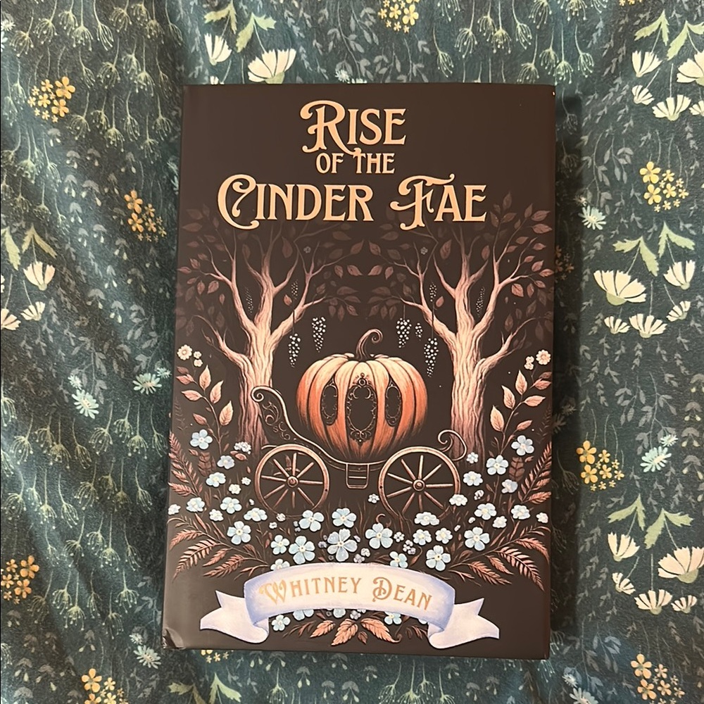 Unplugged book box edition of Rise of the Cinder Fae by Whitney Dean